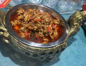 <b>燒雞公培訓地址在哪裏</b>